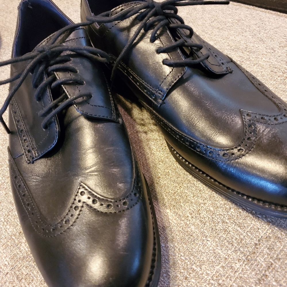 Mens Cole Haan Wingtip Shoes